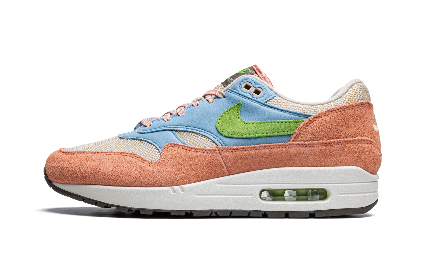 Air Max 1 "Light Madder Root" DV3196 800