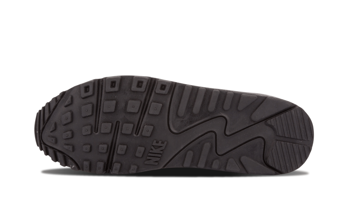 Air Max 90 EM "Sunset Pack" 554719 887