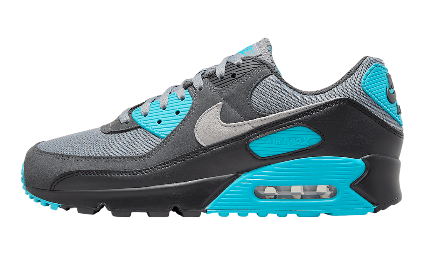 Air Max 90 "Dusty Cactus" DM0029 013