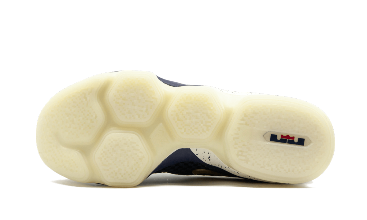 Lebron 14 Low "USA" 878636 400