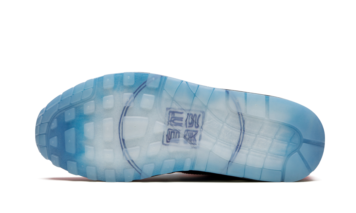 Air Max 1 "Chinese New Year - Longevity" CU8861 460