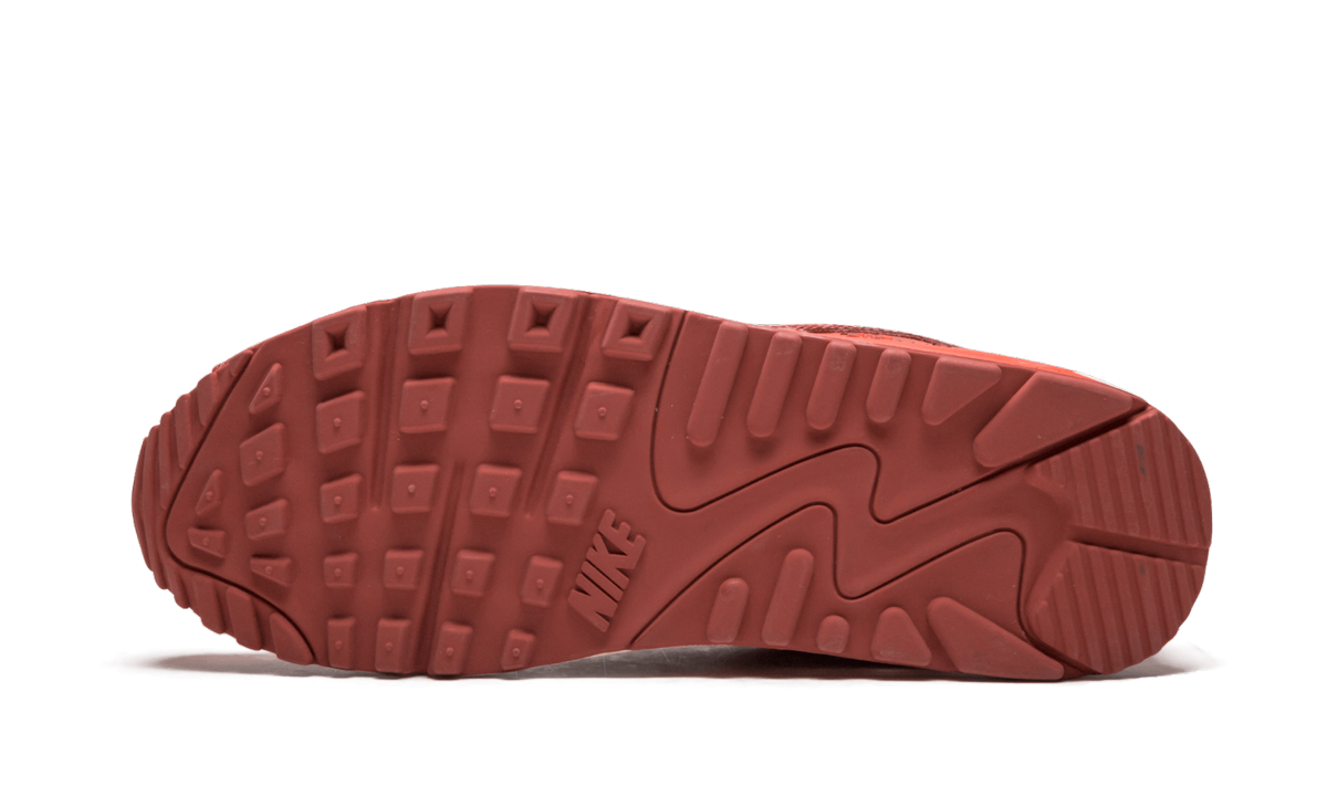 Air Max 90 QK "STEVE NASH" 314864 881