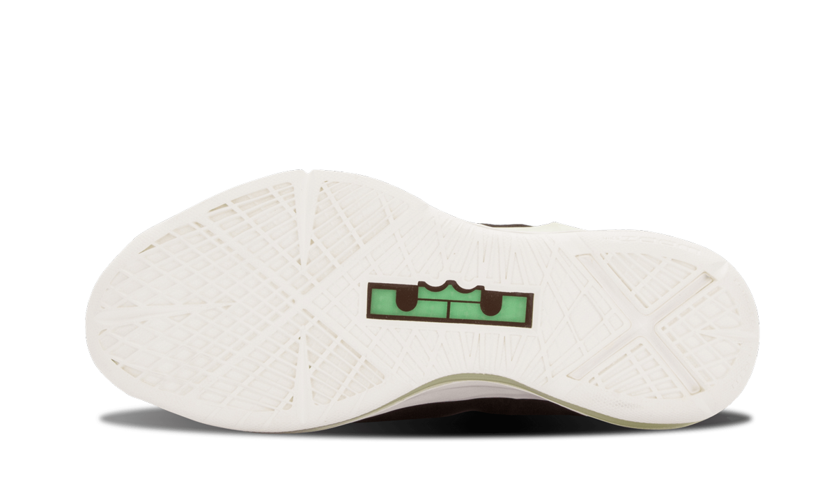 Lebron 10 EXT QS "Black Suede" 607078 001