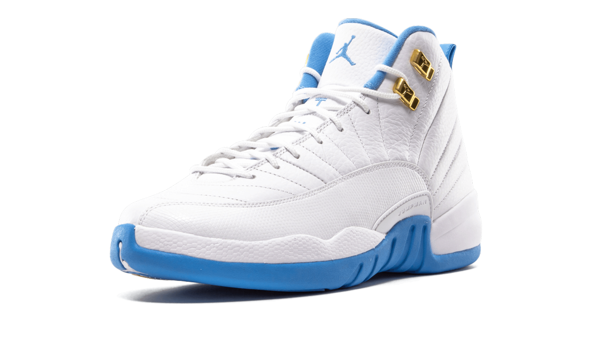 Air Jordan 12 Retro GS "MELO" 510815 127