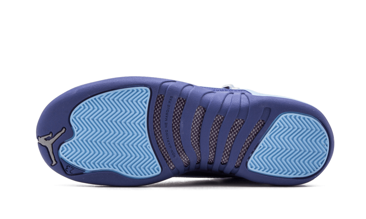 Air Jordan 12 Retro GS "Purple Dust" 510815 418