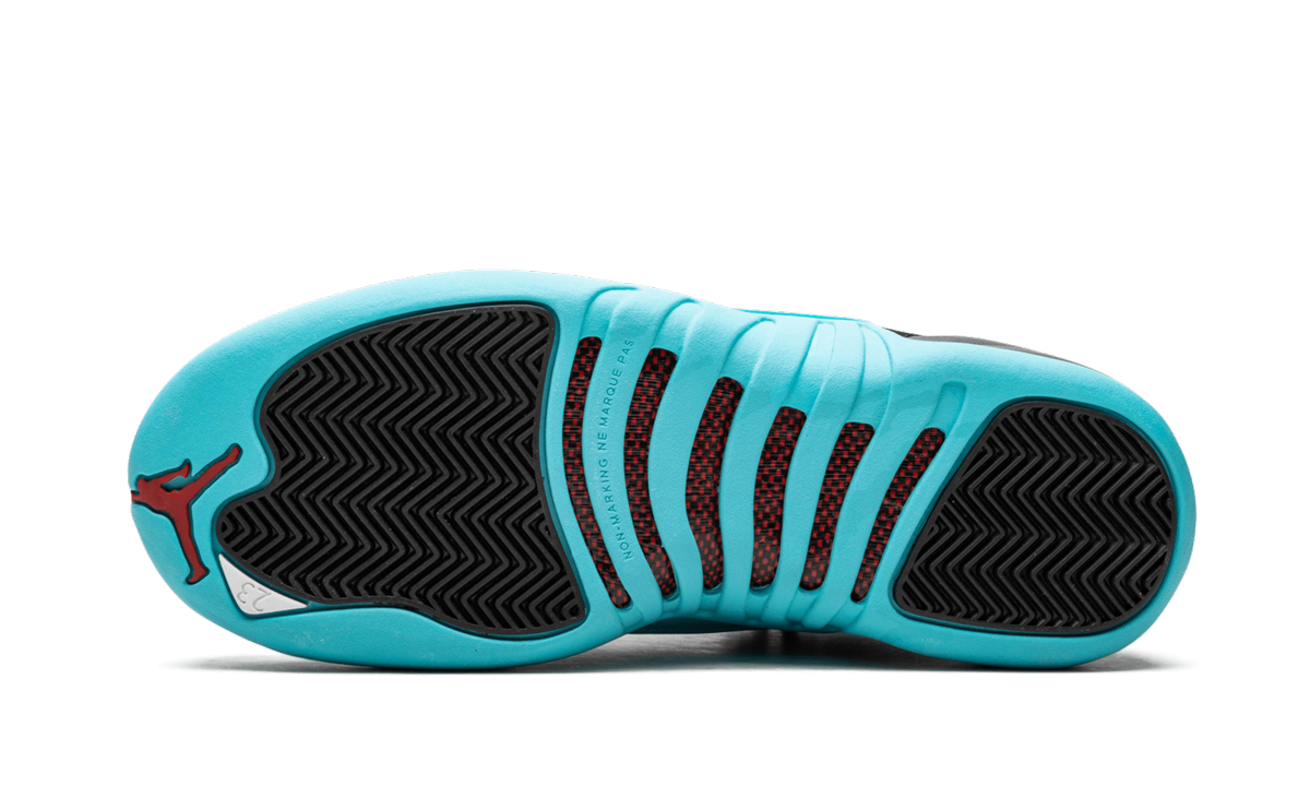 Air Jordan 12 Retro GS "Gamma"