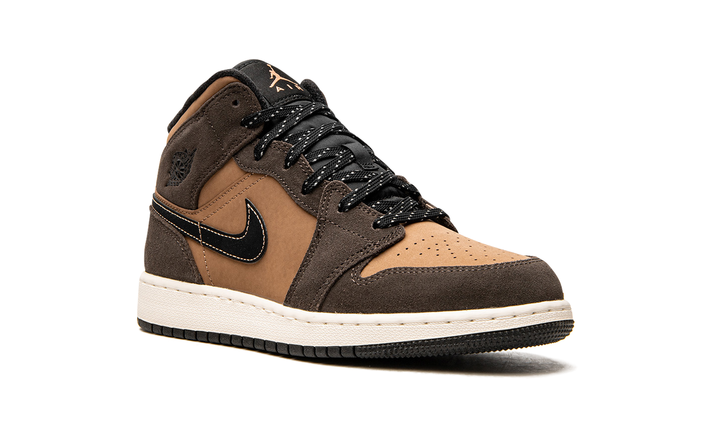 Air Jordan 1 Mid SE GS "Earth Tone" DC7248 200