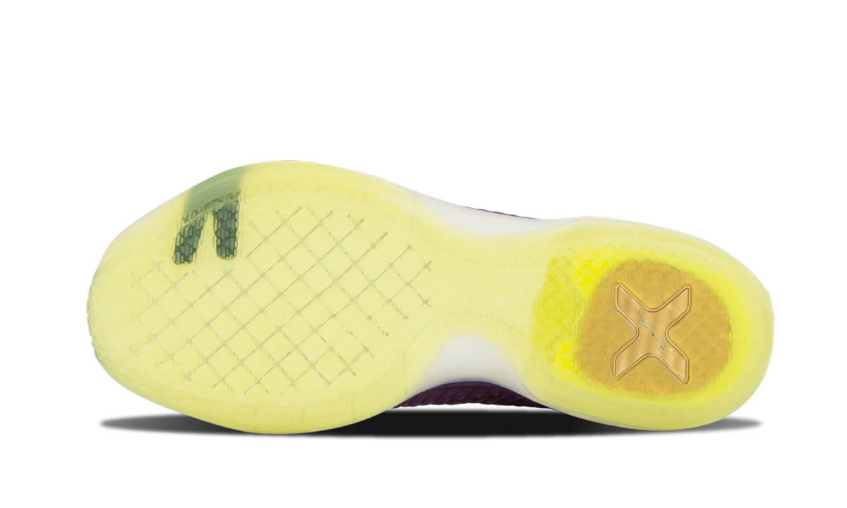 Kobe 10 Elite "Team Pack - Purple"