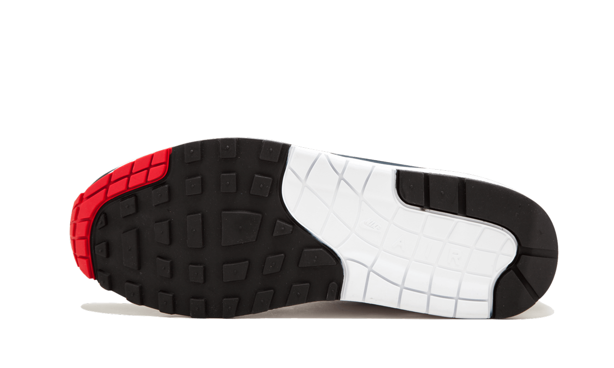 Air Max 1 Anniversary