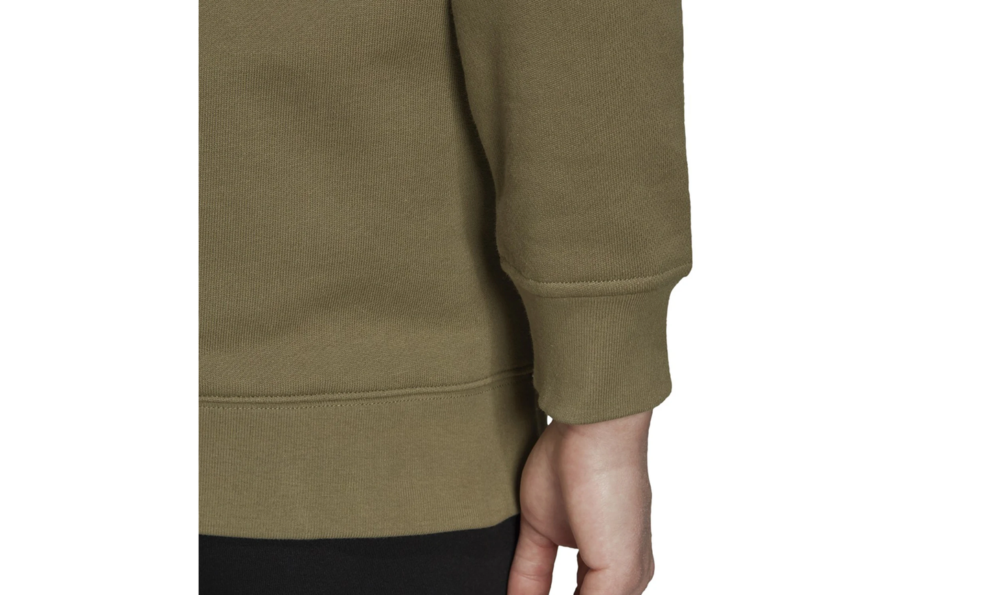 Trefoil Crew Sweatshirt "Green" H33582