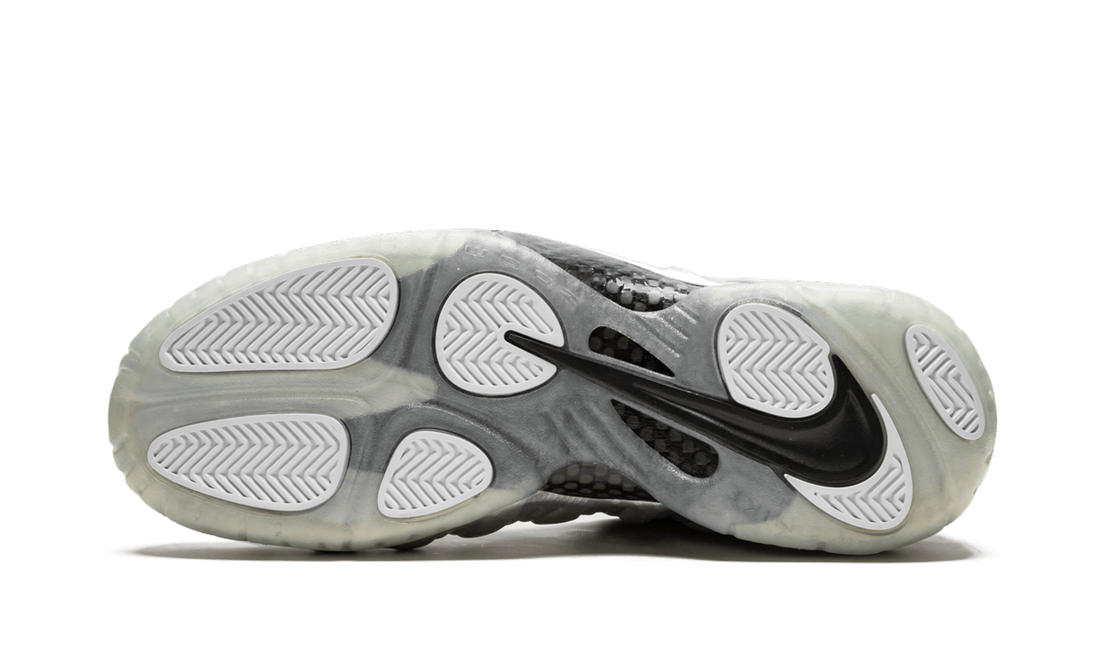 Air Foamposite Pro "Silver Surfer"