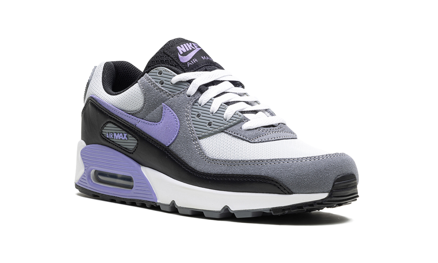 Air Max 90 "Light Thistle" DM0029 014