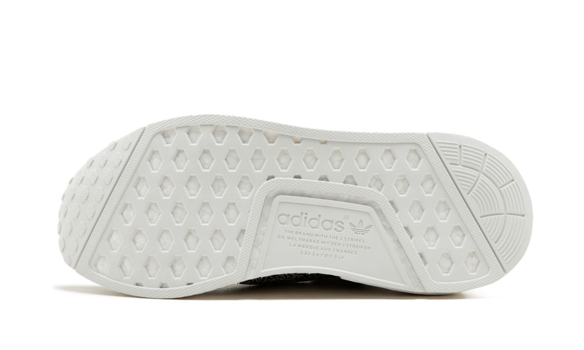 NMD_R1 PK "Colour Static" BW1126
