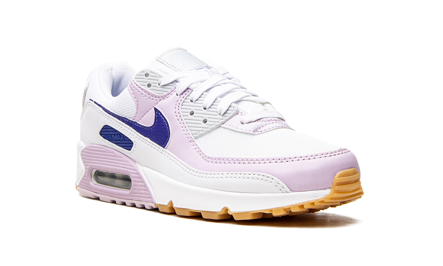 AIR MAX 90 WMNS DX3316 100