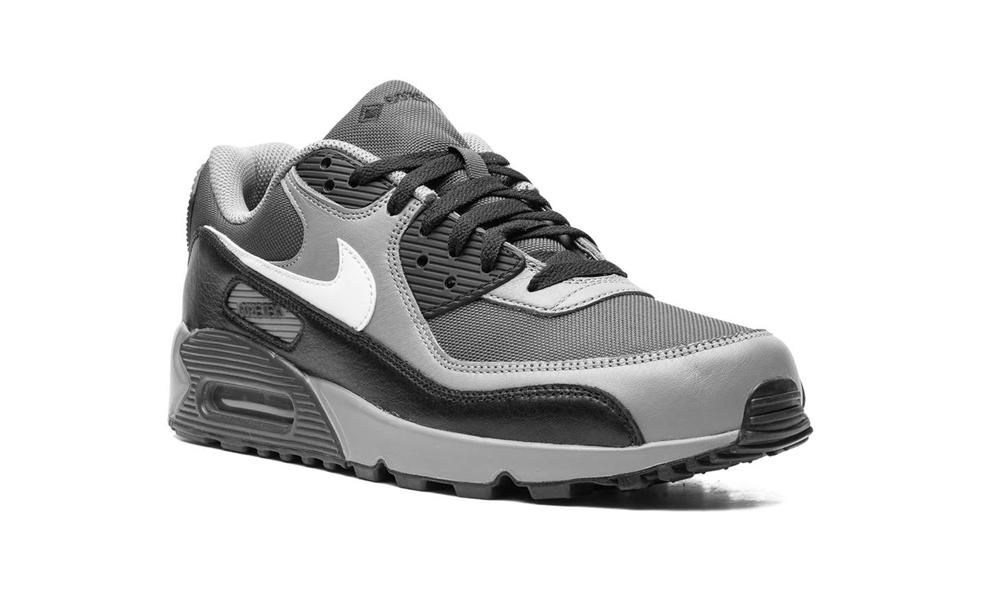 Air Max 90 GORE-TEX "Dark Smoke Grey" FD5810 002