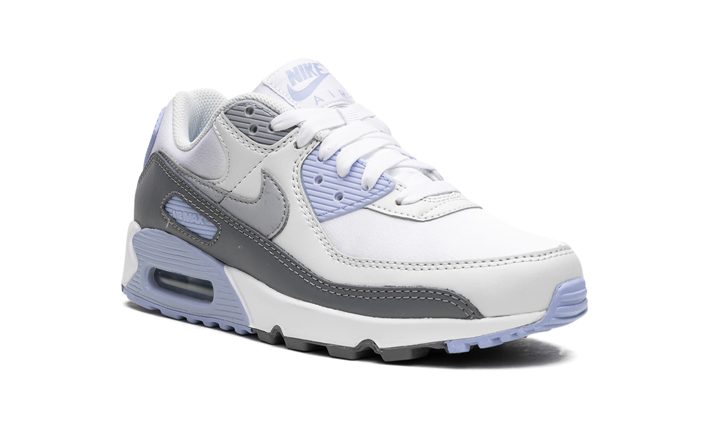 AIR MAX 90 WMNS "Cobalt Bliss" FB8570 100