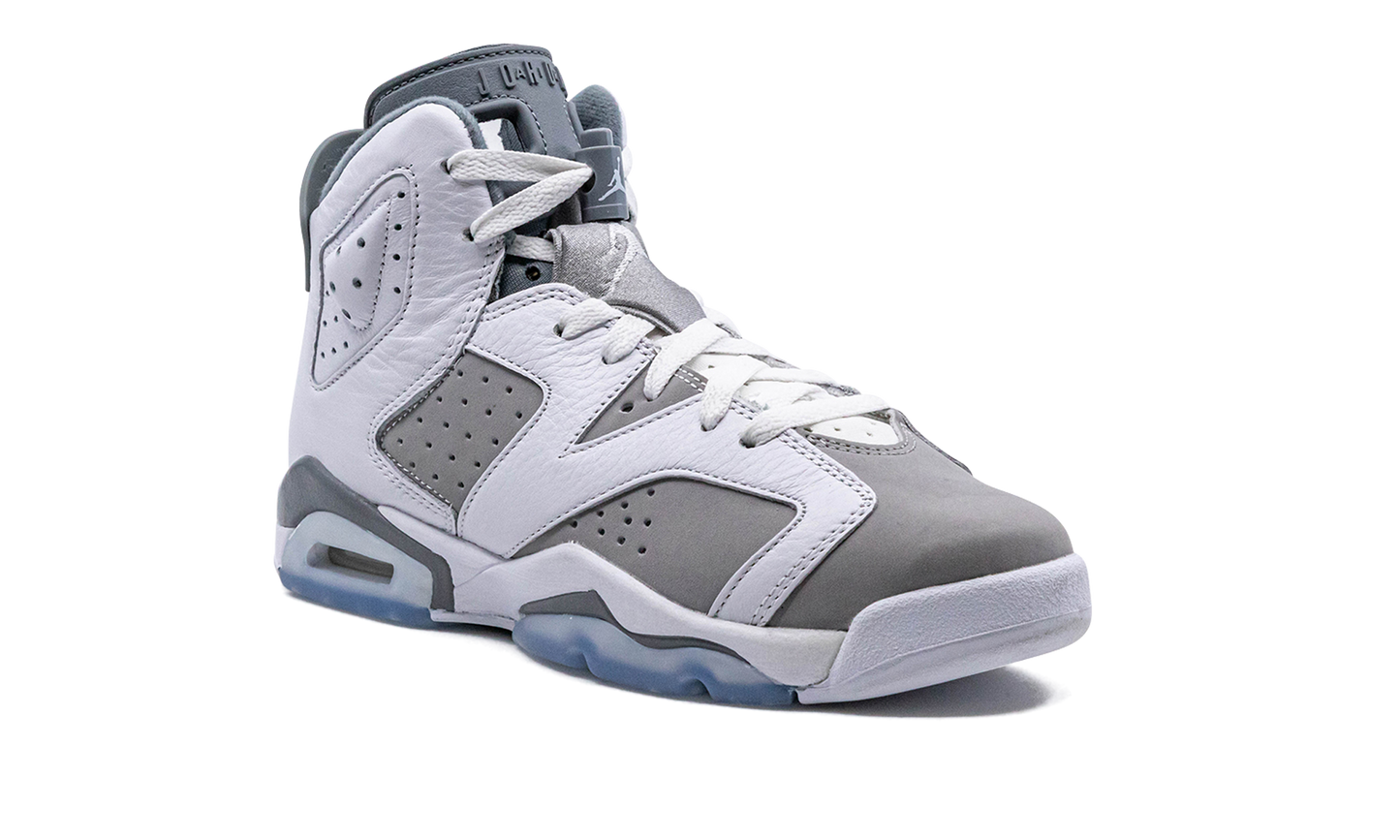 Air Jordan 6 GS "Cool Grey" 384665 100