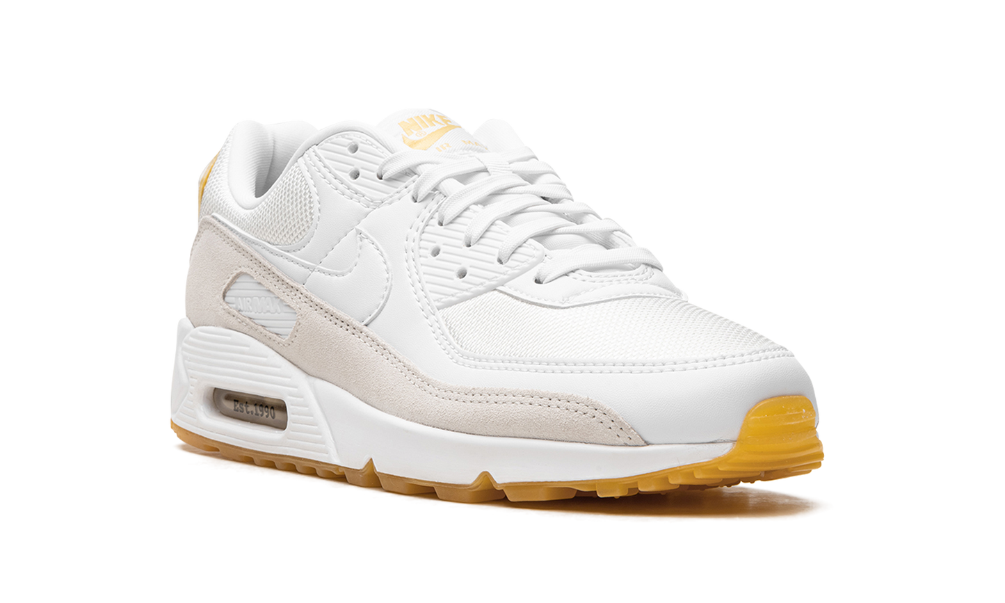 Air Max 90 "Frank Rudy" DV1734 100