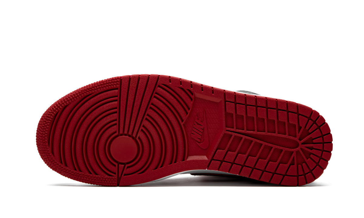 Air Jordan 1 High OG "Bloodline / Meant To Fly" 555088 062