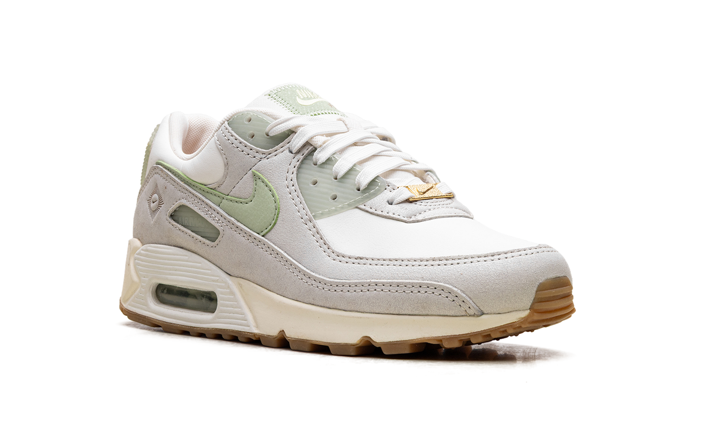 Air Max 90 SE WMNS "Australia" FN7490 133