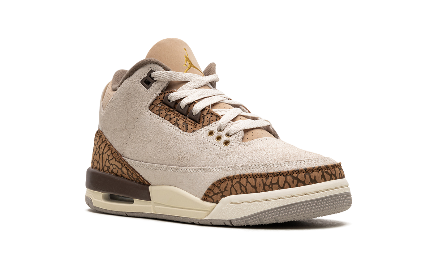 Air Jordan 3 GS "Palomino" DM0967 102
