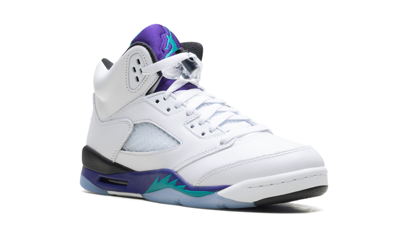 Air Jordan 5 Retro GS "Grape" HQ7980 100
