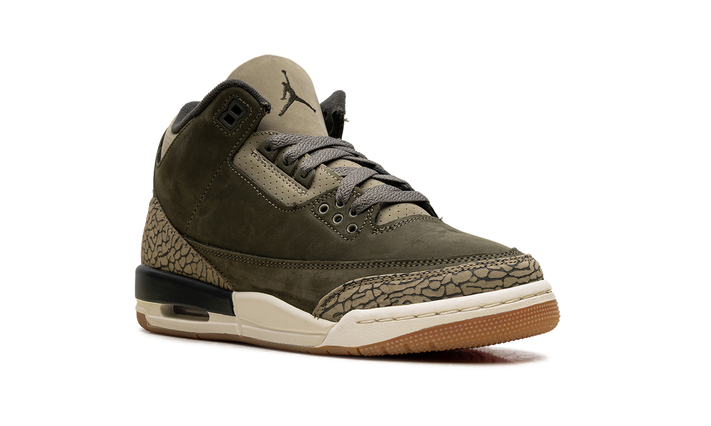 Air Jordan 3 GS "Family Affair" DM0967 202