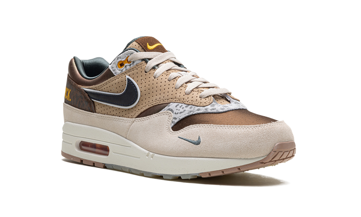 Air Max 1 '87 Premium "University of Oregon PE 2024" HQ2640 200