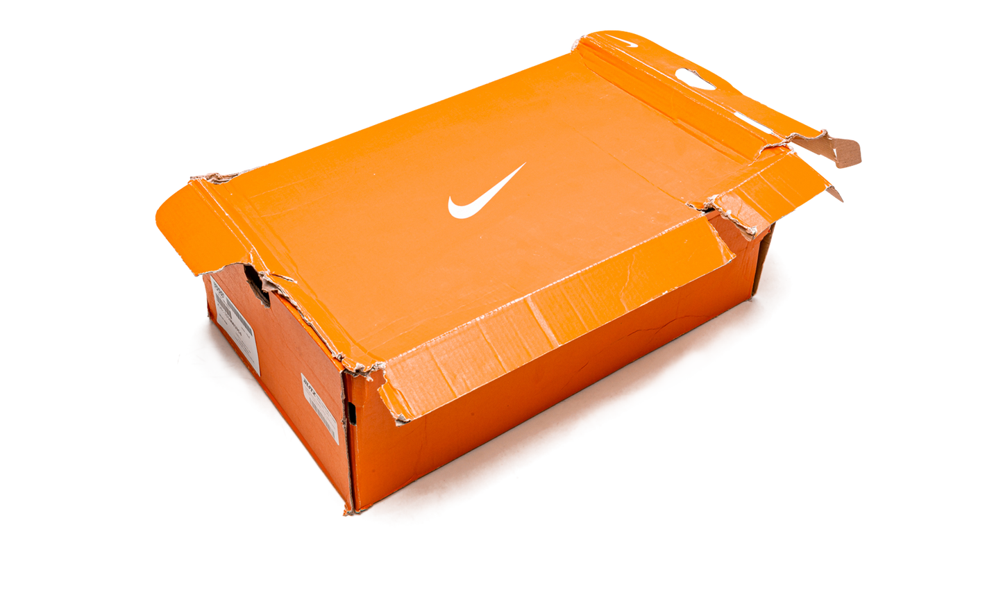 Lebron 9 Low "Arnold Palmer"