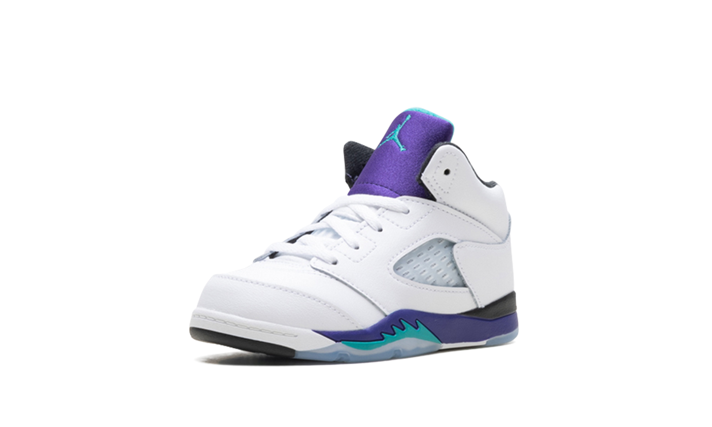 Jordan 5 Retro TD "Grape (2025)" HQ7981 100