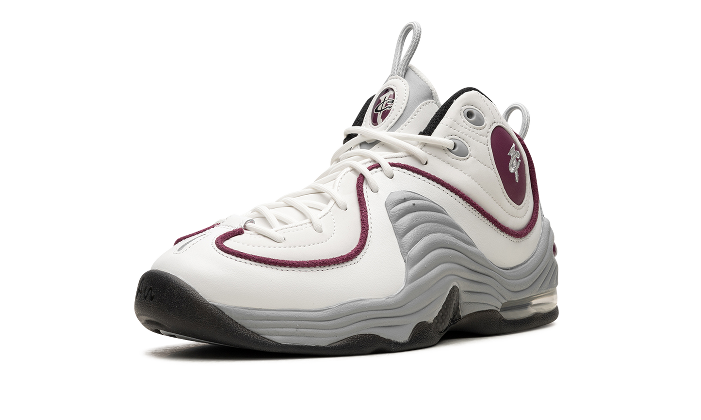 AIR PENNY 2 WMNS "Rosewood" DV1163 100