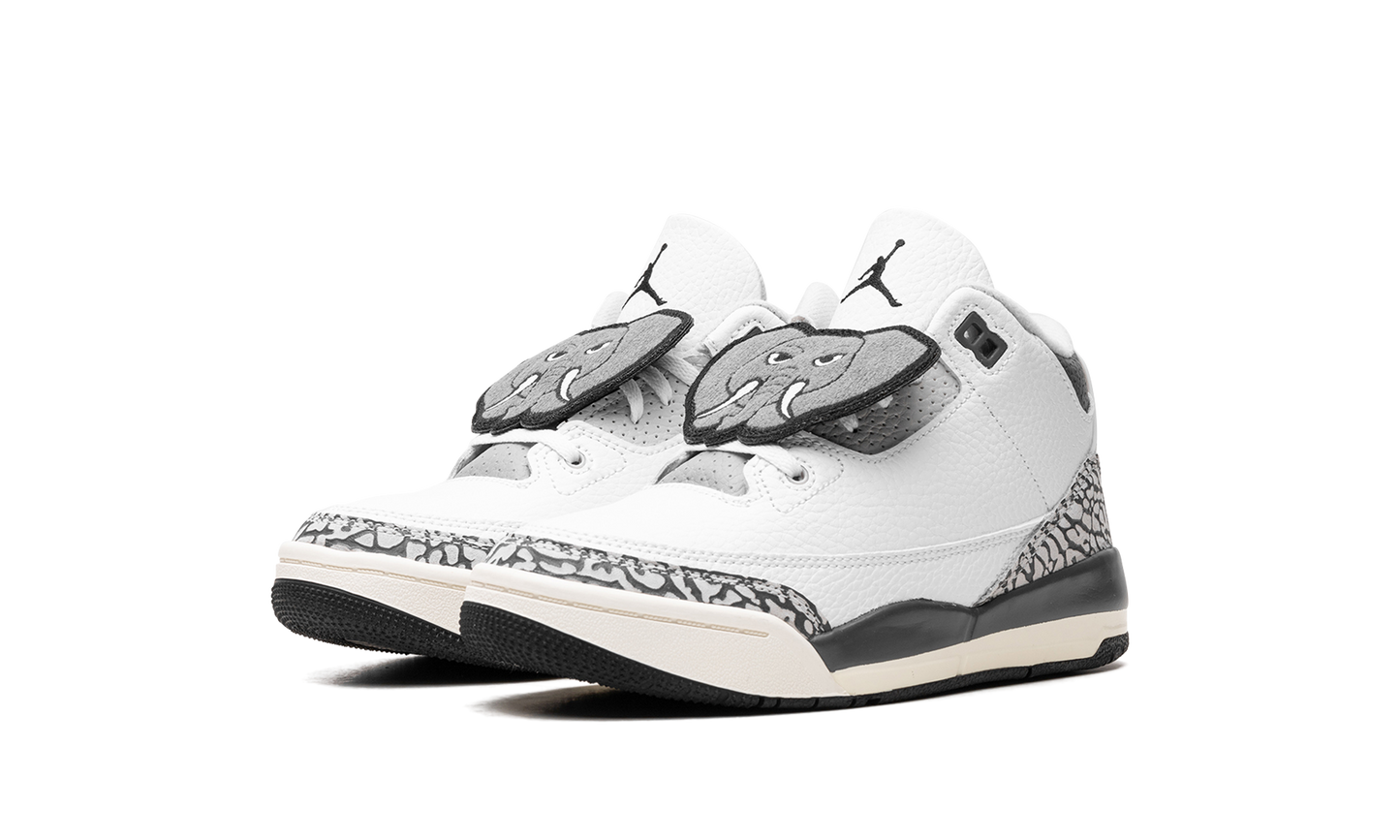Air Jordan 3 PS "Hide & Sneak" FB4416 100