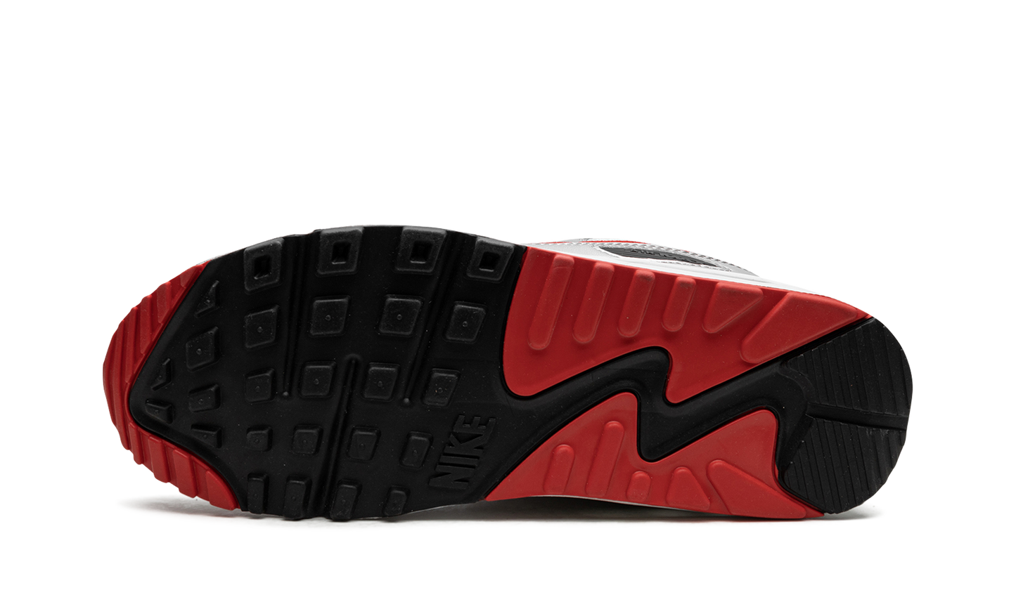 Air Max 90 "Icons - Silver Bullet" DX4233 001