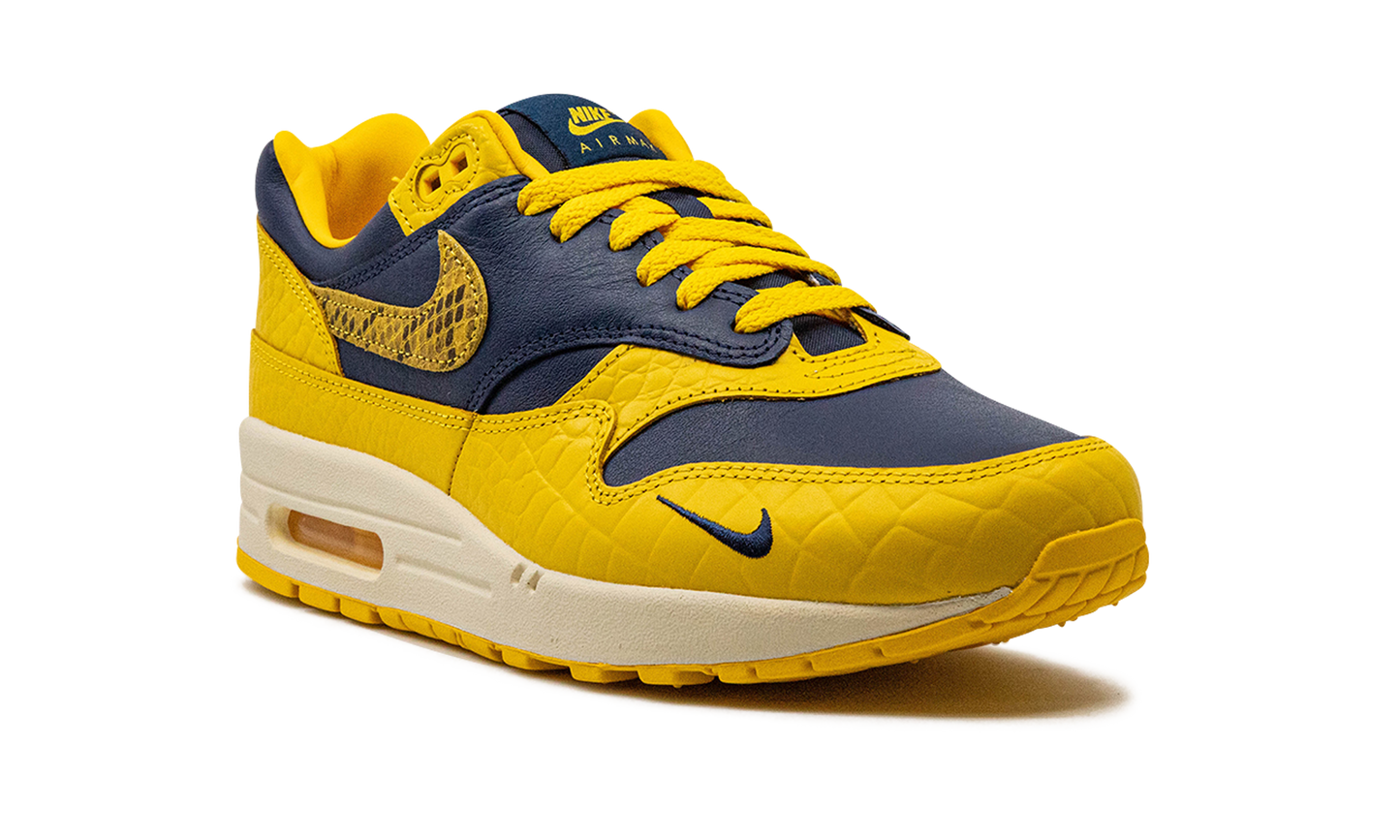 AIR MAX 1 PRM MNS WMNS "Co.jp Head to Head" FJ5479 410