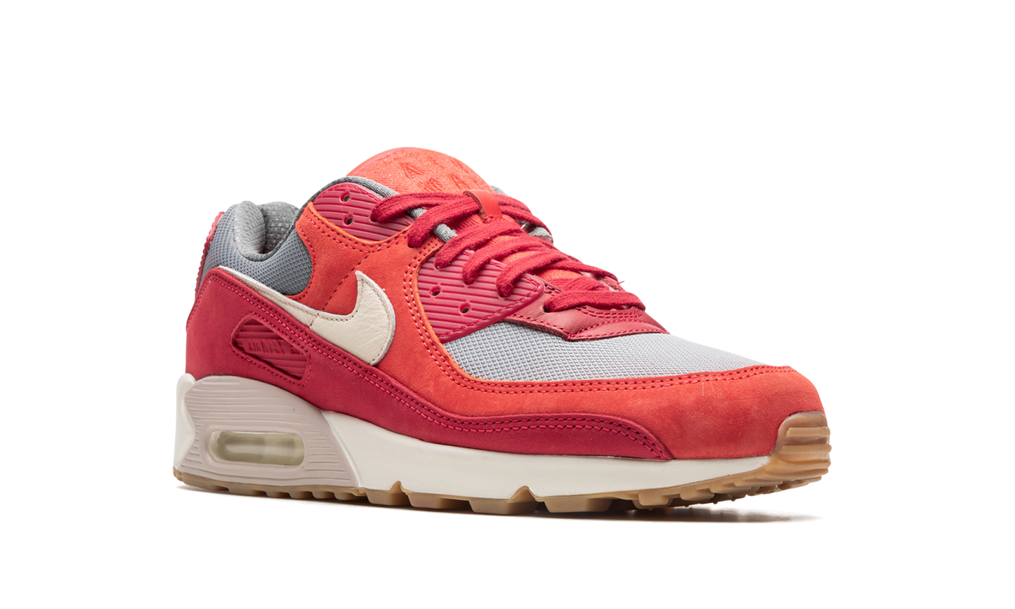 Air Max 90 PRM "Gym Red" DH4621 600
