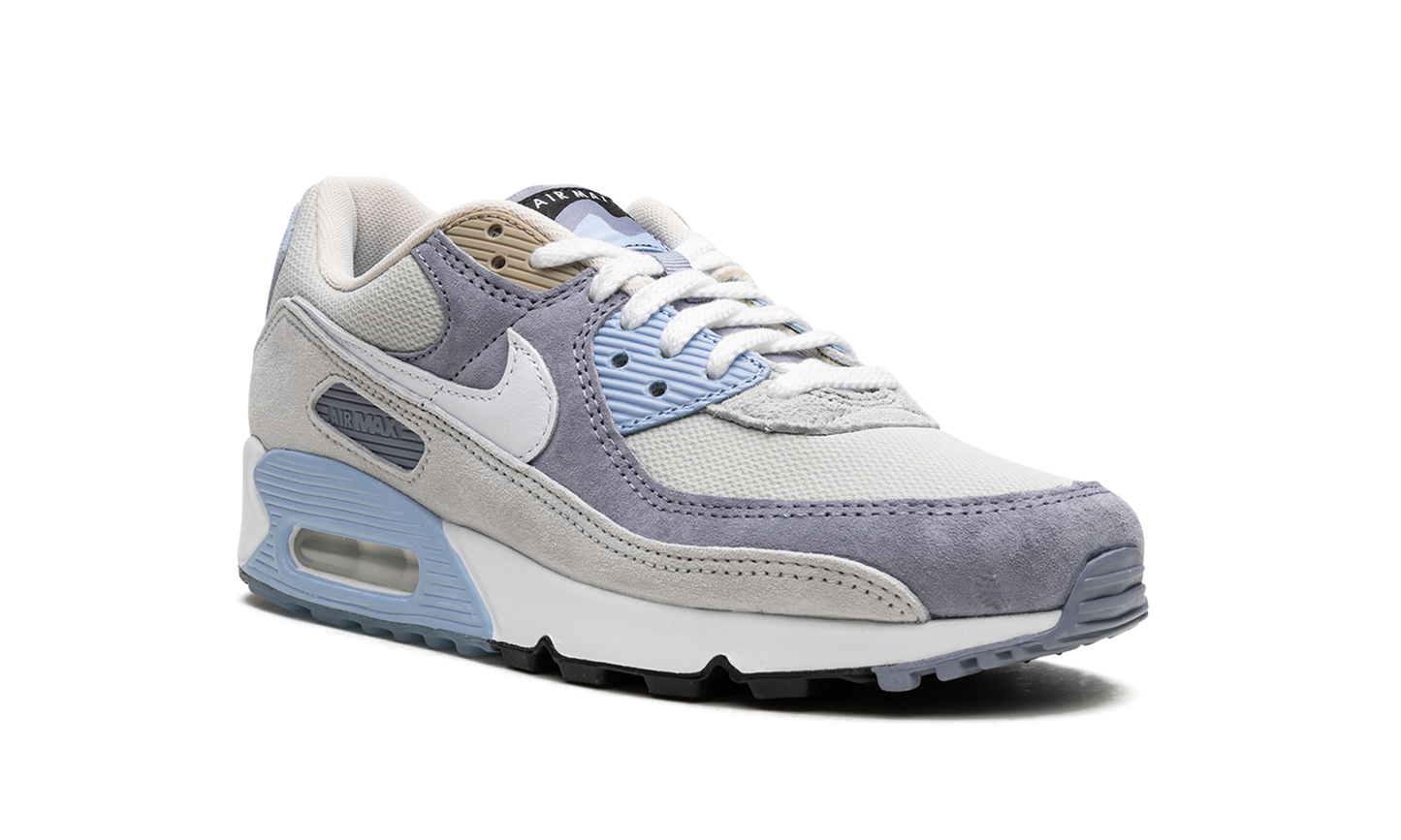 Air Max 90 "Ashen Slate" DM0035 400
