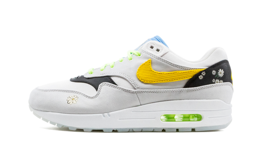 Air Max 1 "Daisy Pack"
