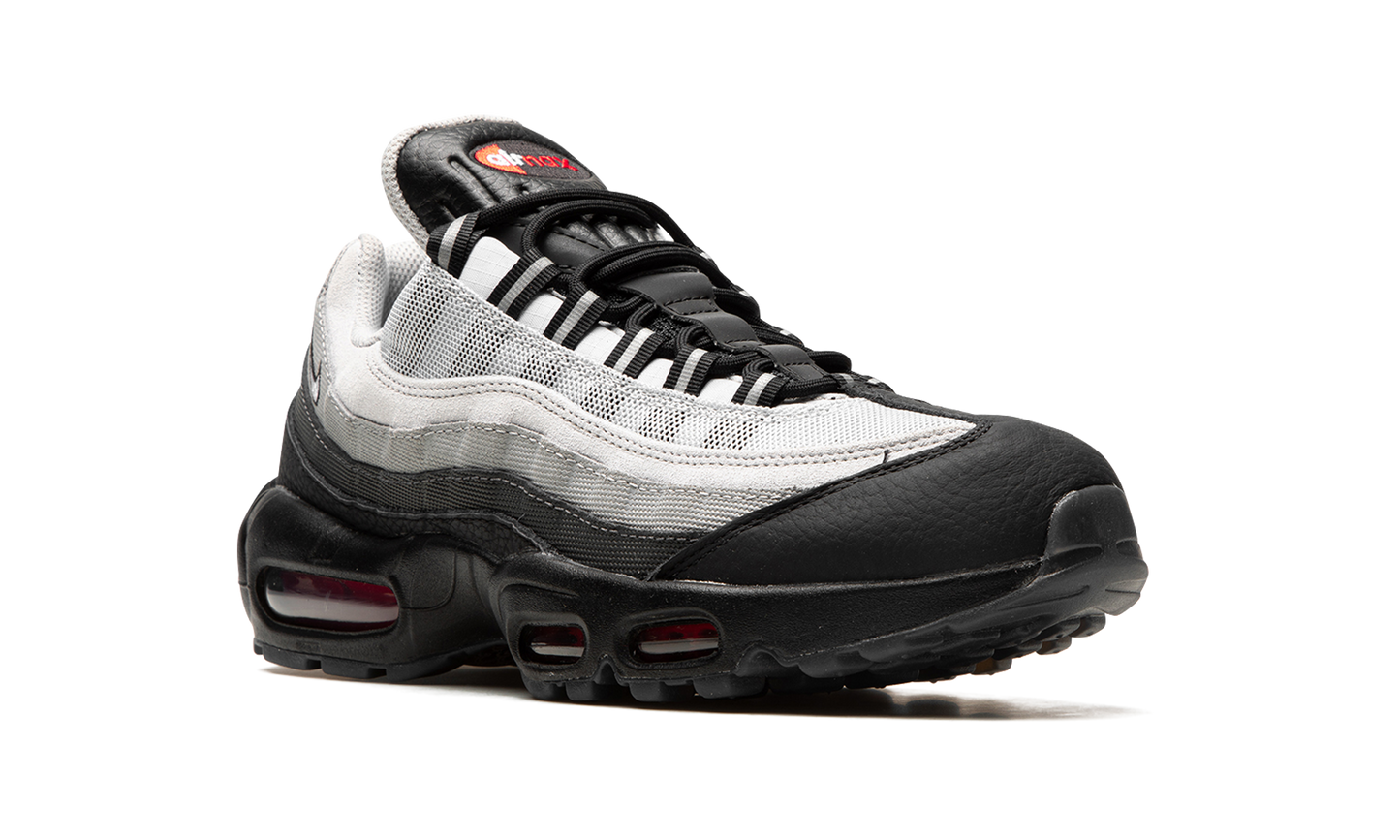 Air Max 95 "Fish Scales" DQ3979 001