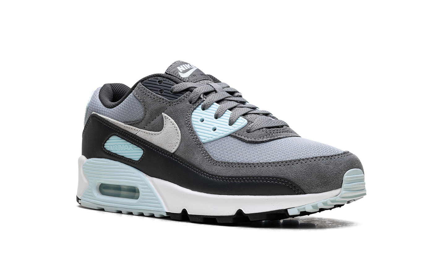 Air Max 90 "Pumice" DM0029 009
