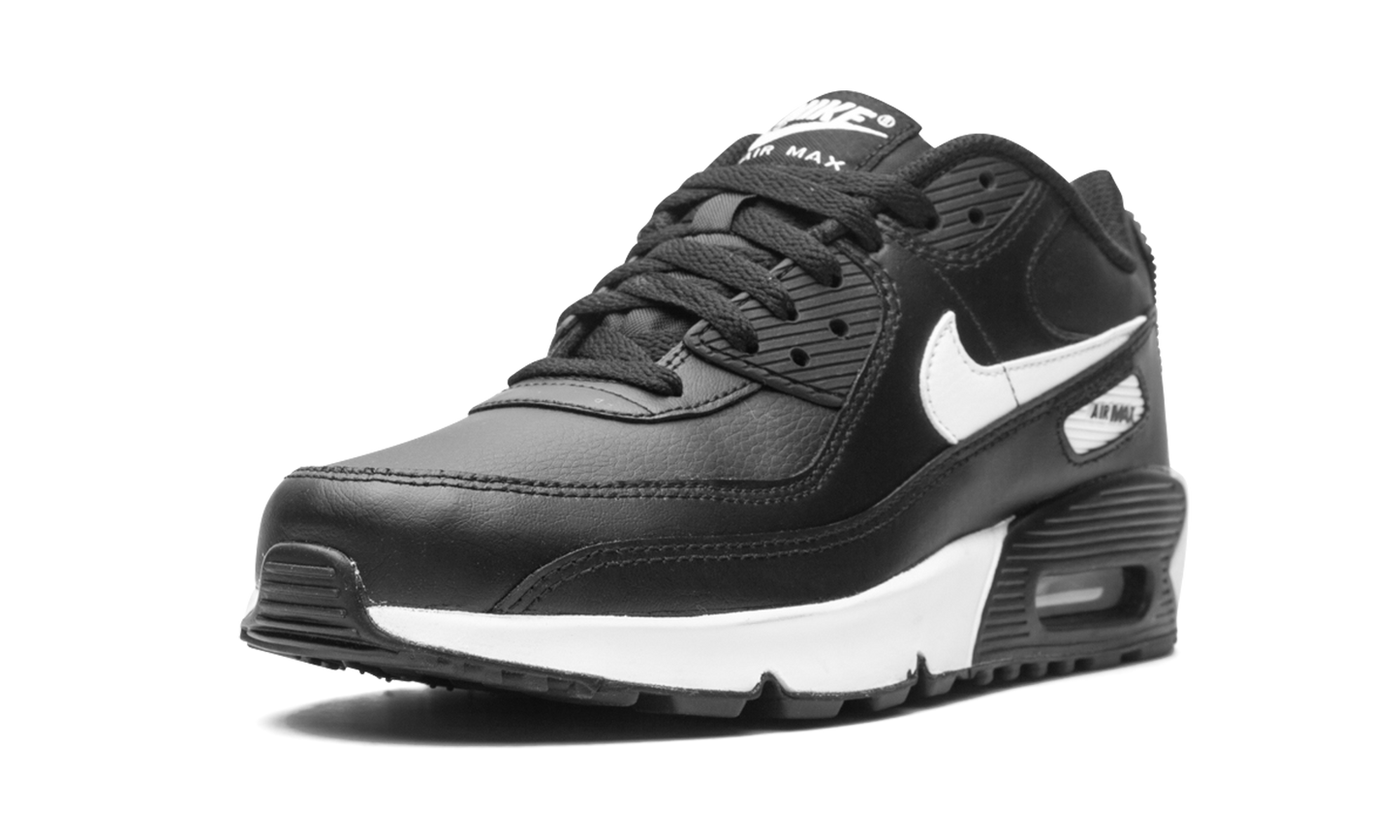 Air Max 90 LTR (GS) CD6864 010