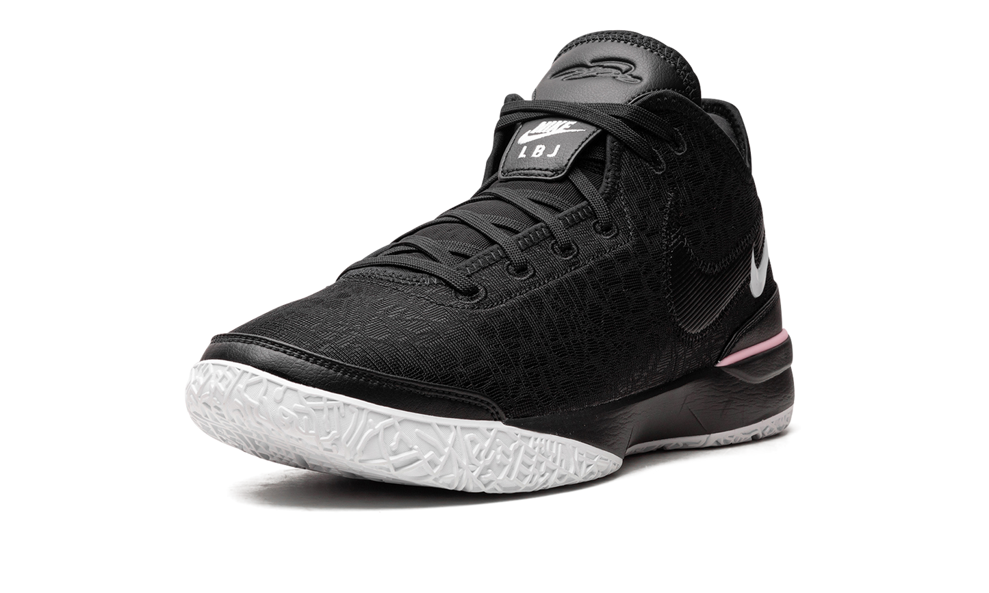 Nike Zoom LeBron NXXT Gen "Black/White" DR8784 003