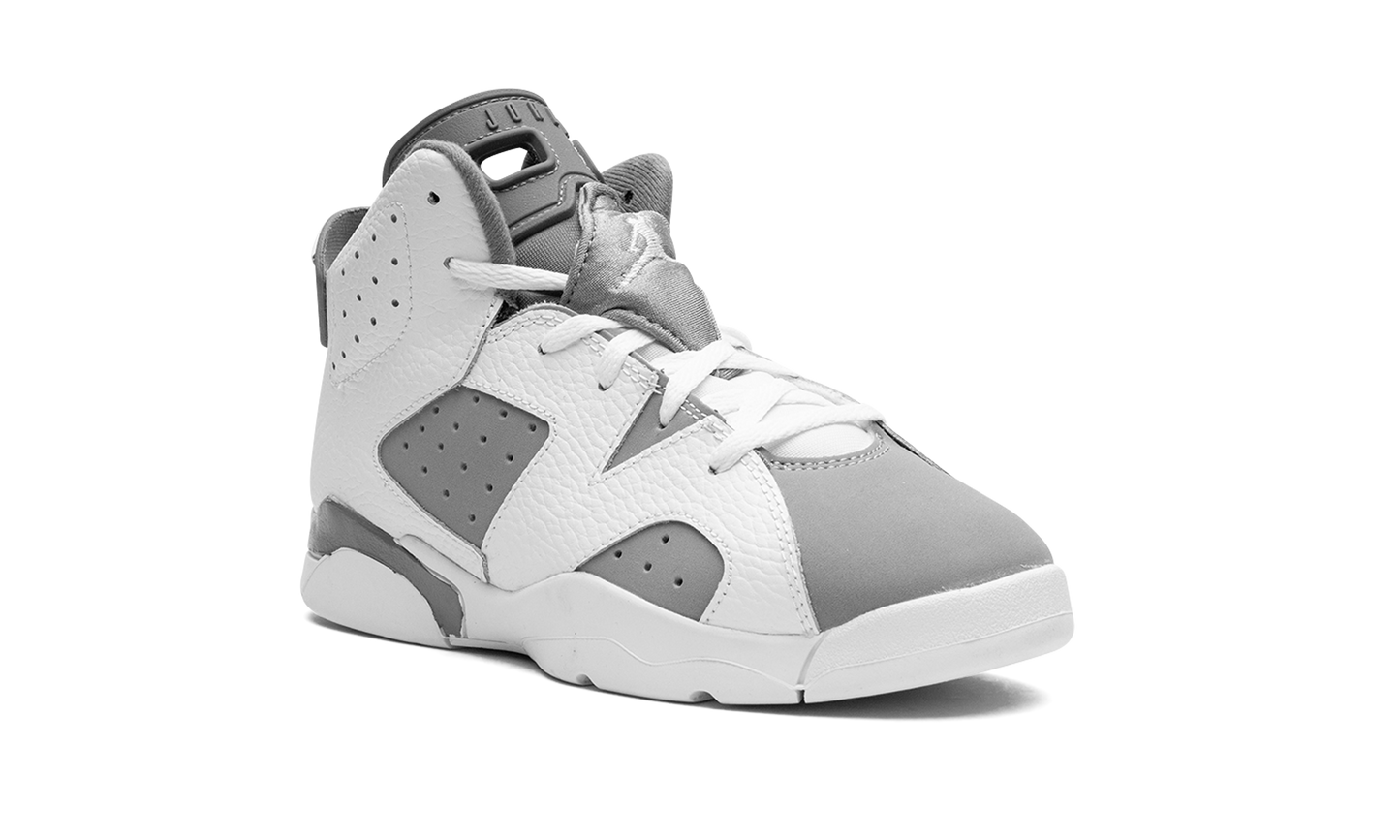 Air Jordan 6 PS "Cool Grey" DV3605 100
