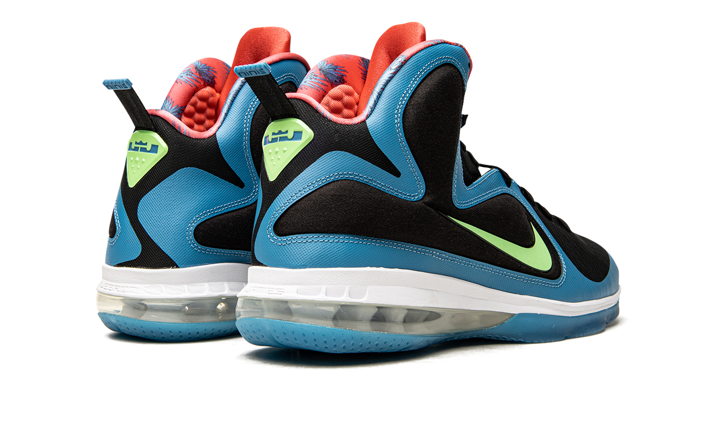 Lebron 9 "South Coast" DO5838 001