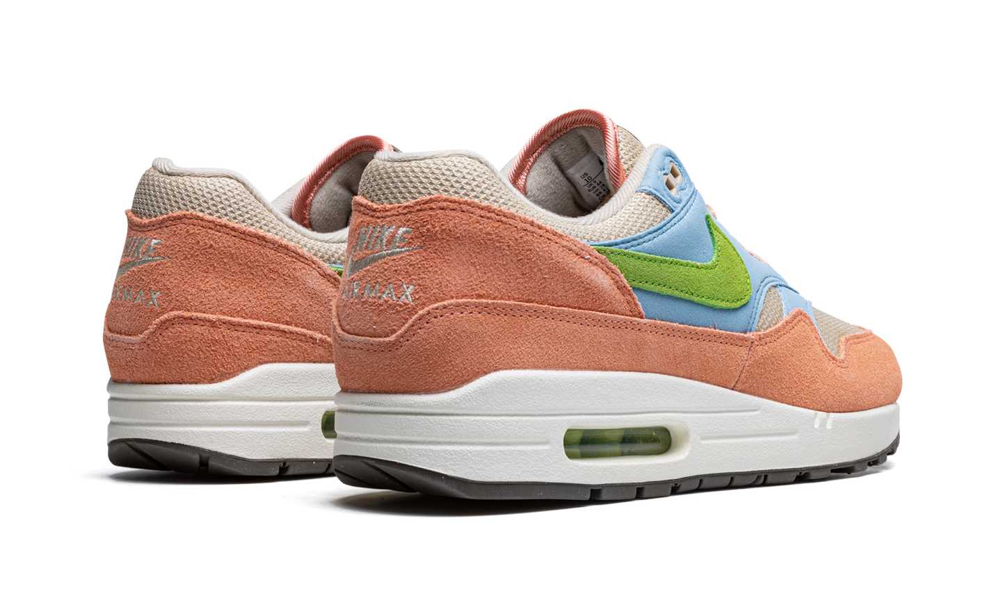 Air Max 1 "Light Madder Root" DV3196 800