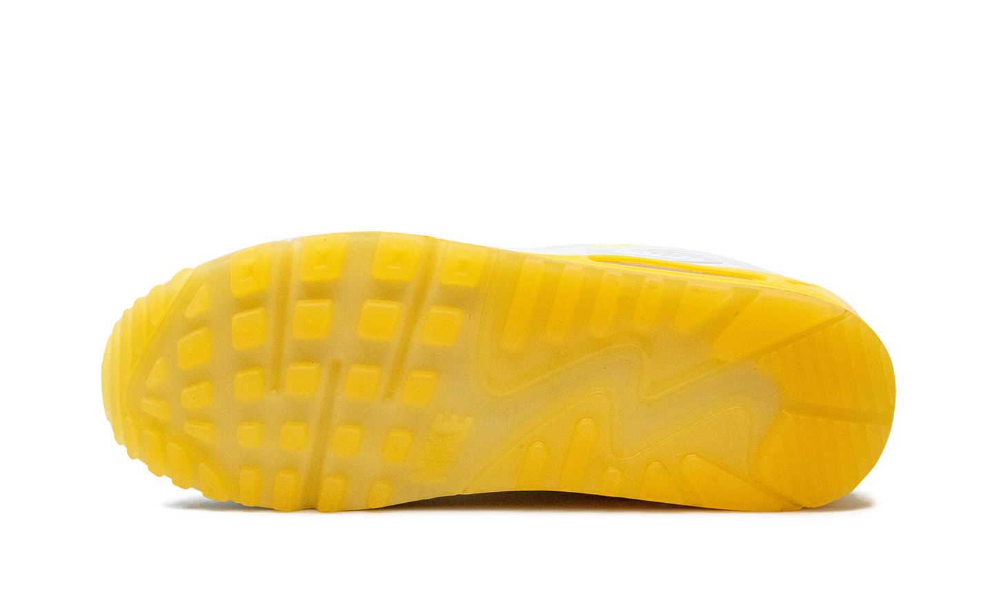 AIR MAX 90 MNS WMNS "Citrus Pulse" FJ4548 100