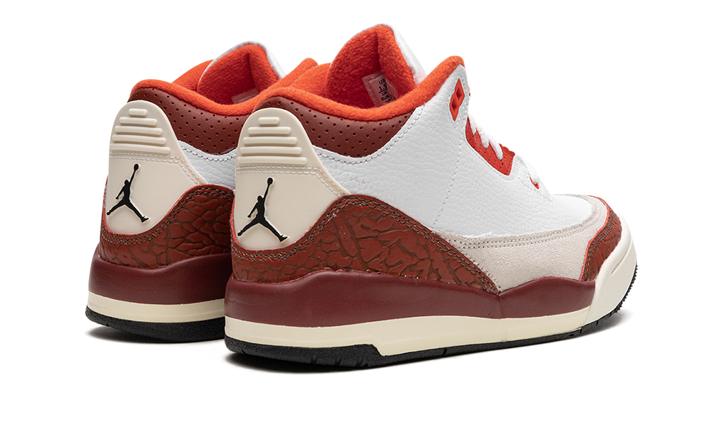 Air Jordan 3 PS "Dunk On Mars" DV7027 108