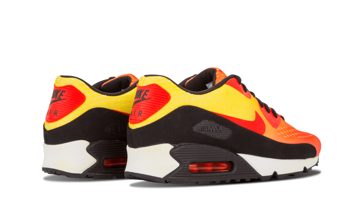 Air Max 90 EM "Sunset Pack" 554719 887
