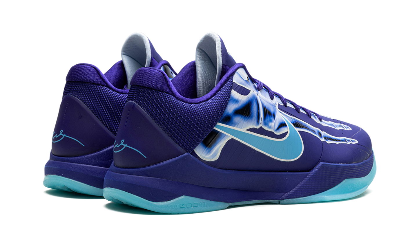 Zoom Kobe 5 Protro "X-Ray" HJ4303 400