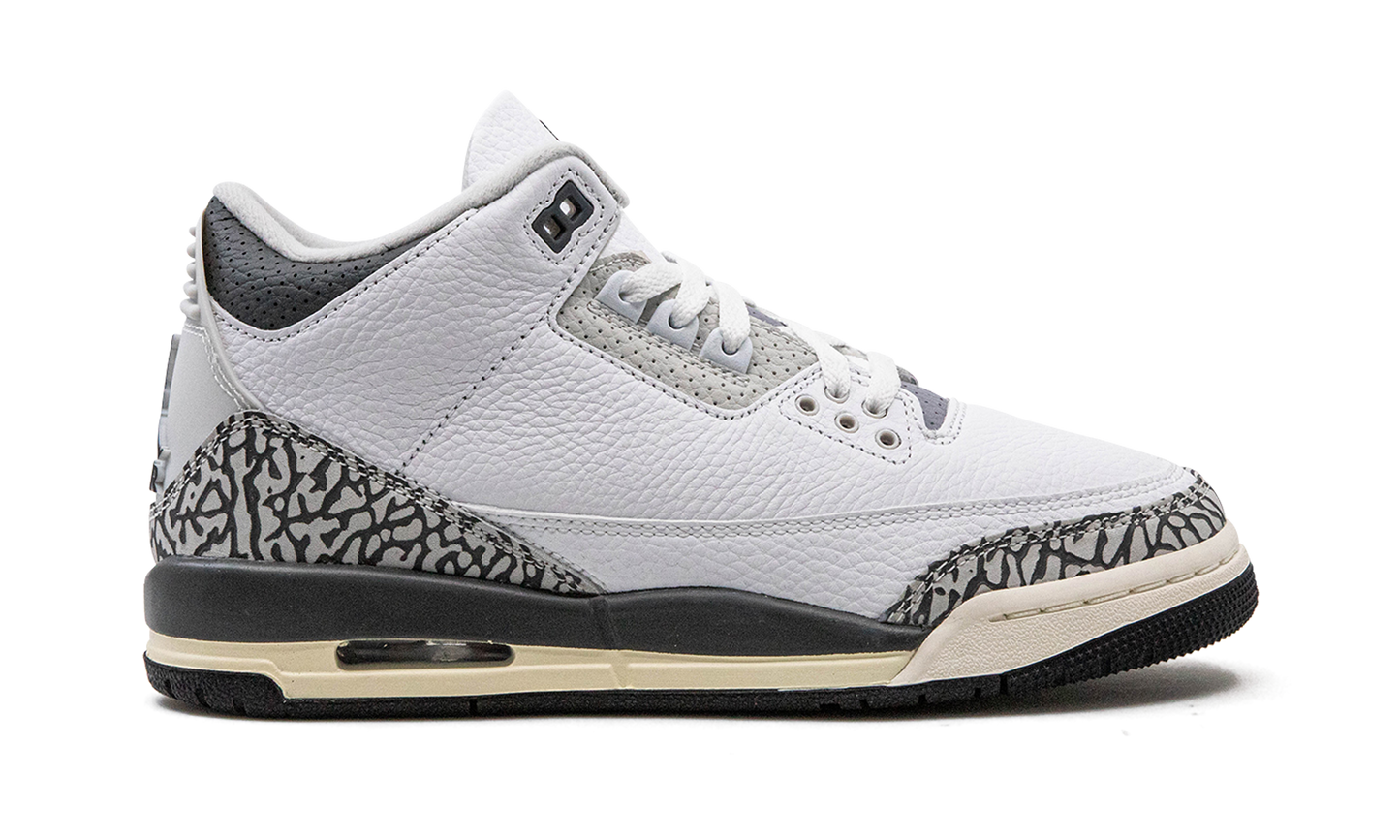 Air Jordan 3 GS "Hide N Sneak" DX6665 100
