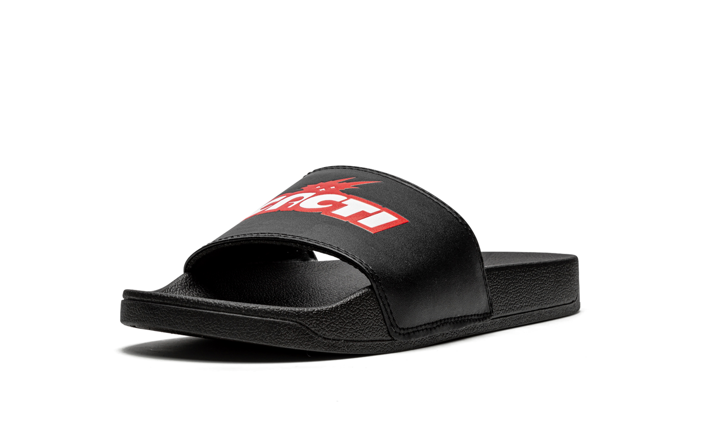 Cacti Slides "Cacti" CACT FS42